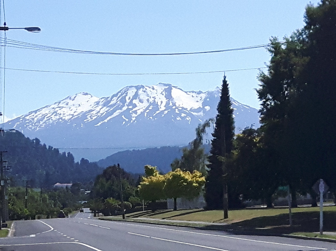 The Peaks Motor Inn主图