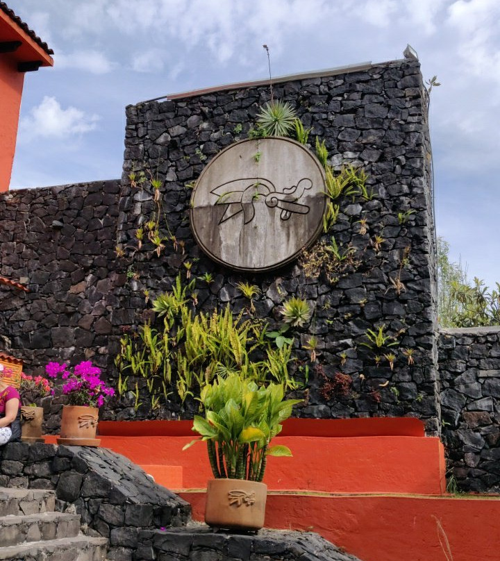 Museo Luis Mario Schneider景点图片