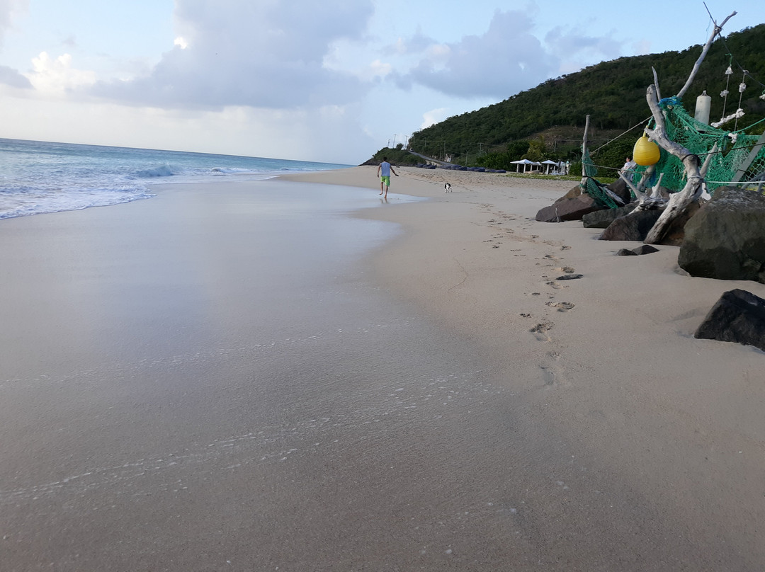Rum Bus Beach-Johnsons Point必去景点