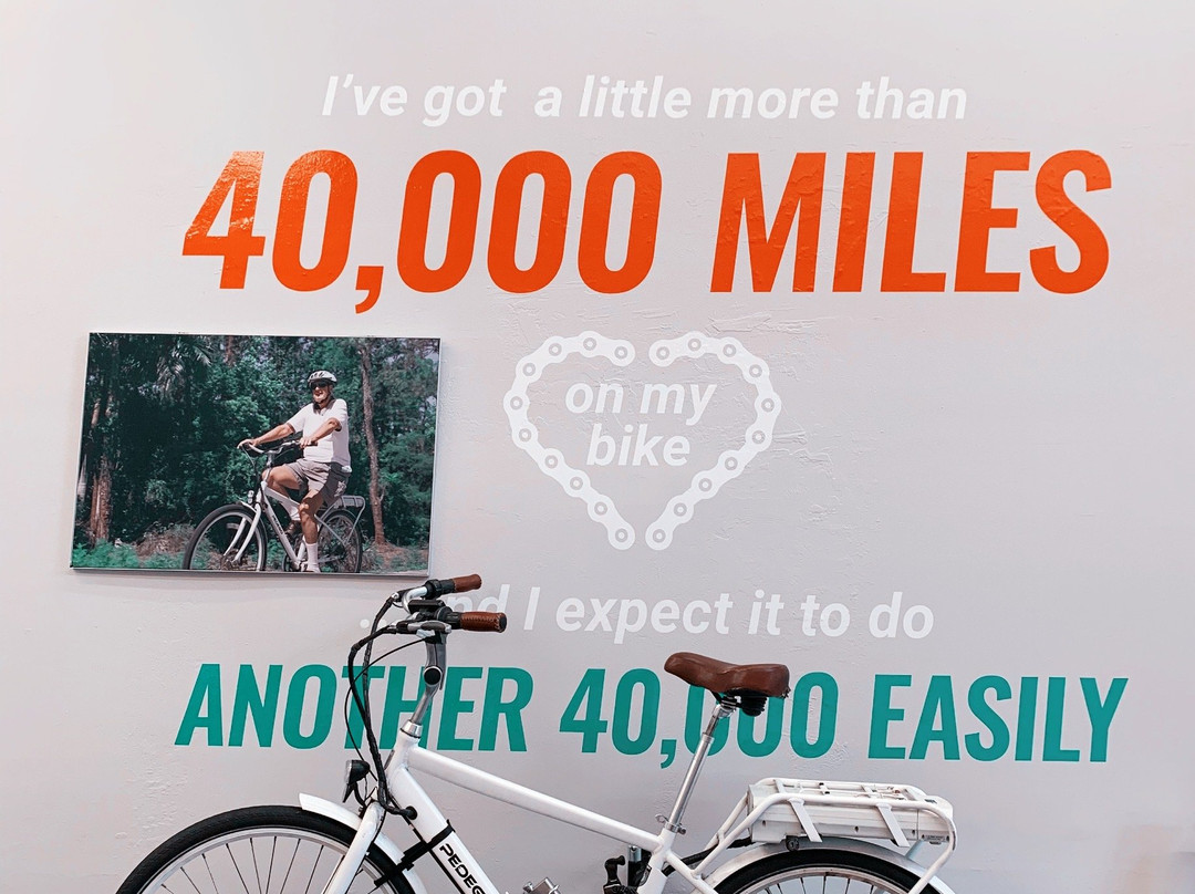 Pedego Electric Bikes Naples-那不勒斯必去景点