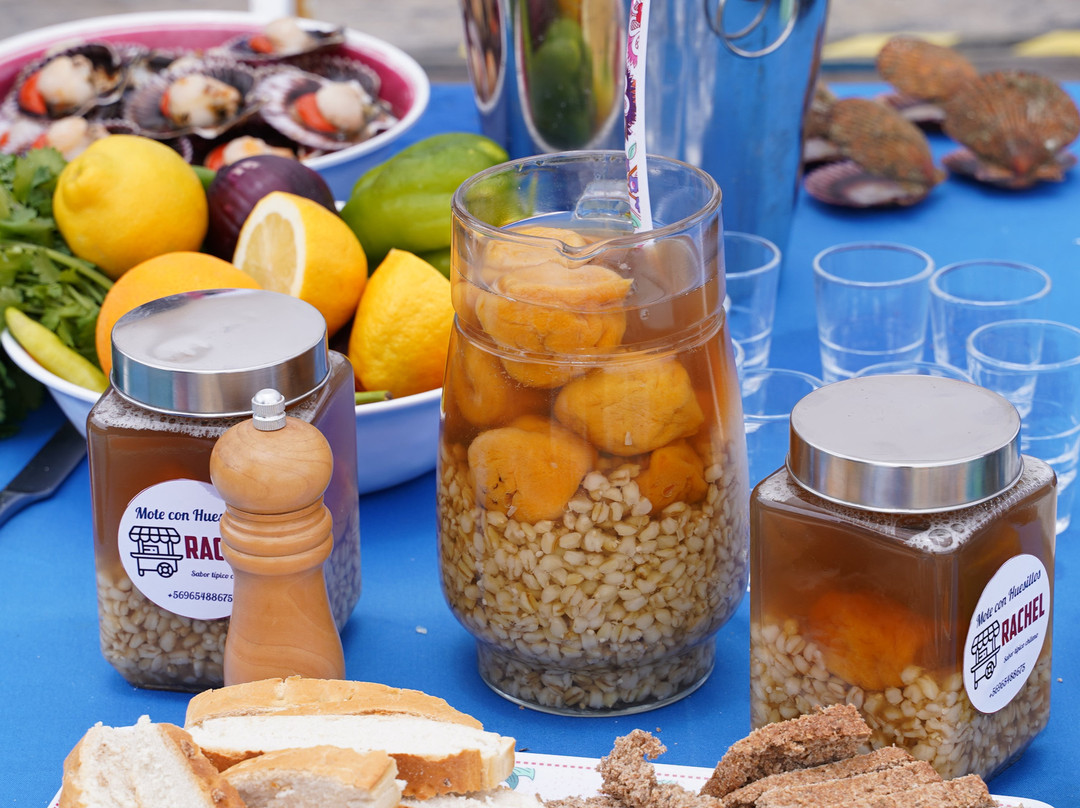 Turismo Todo Tongoy-Tongoy必去景点