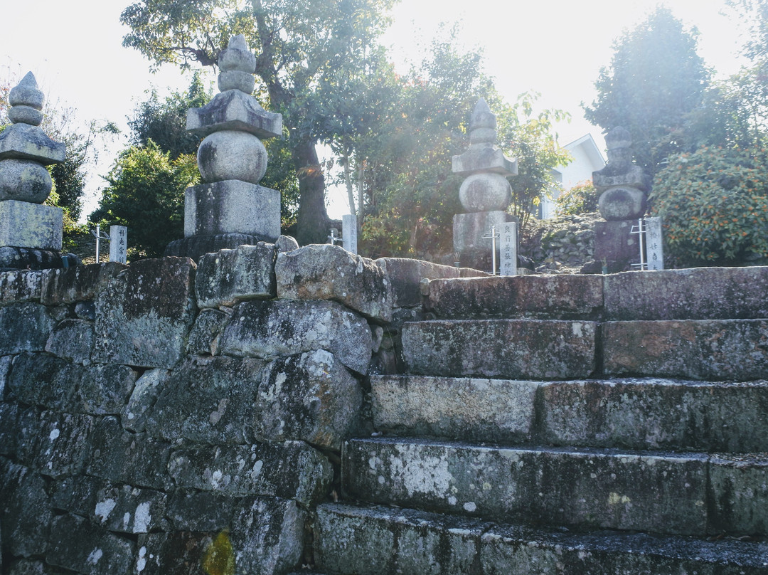 Soken-ji Temple-龟冈市必去景点