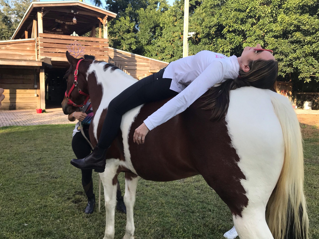 Intentions Ranch & Intentions Publishing-Southwest Ranches必去景点