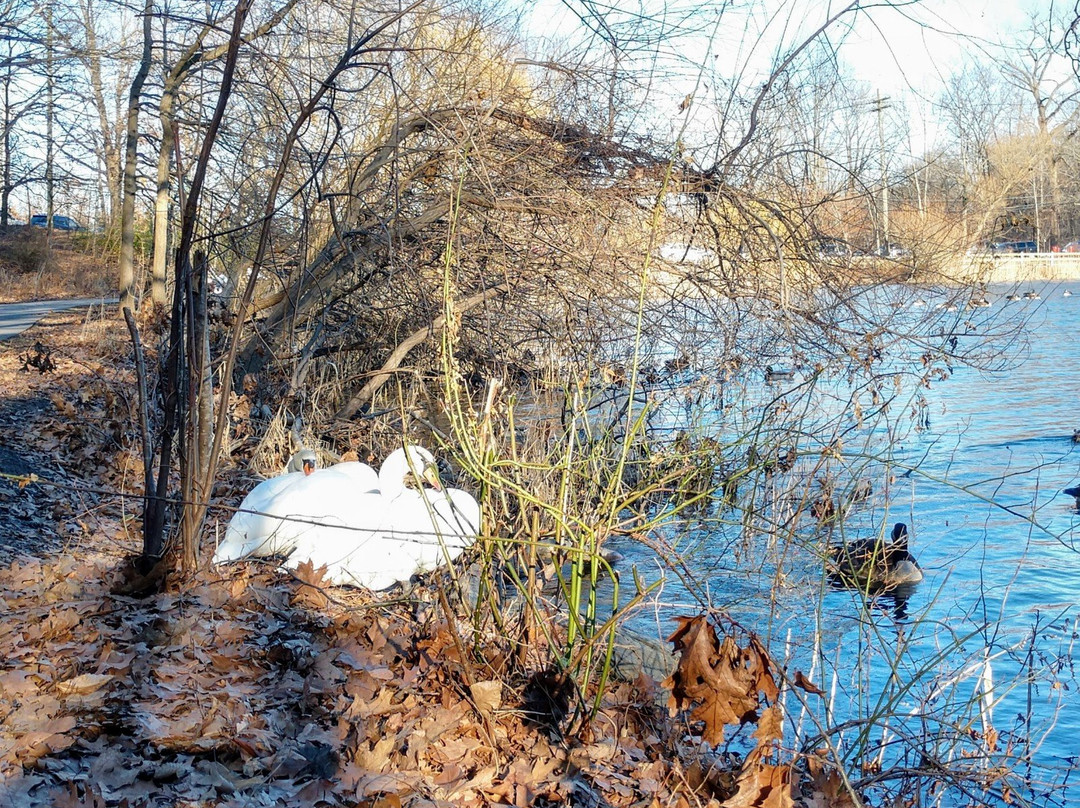 Alley Pond Park-Oakland Gardens必去景点