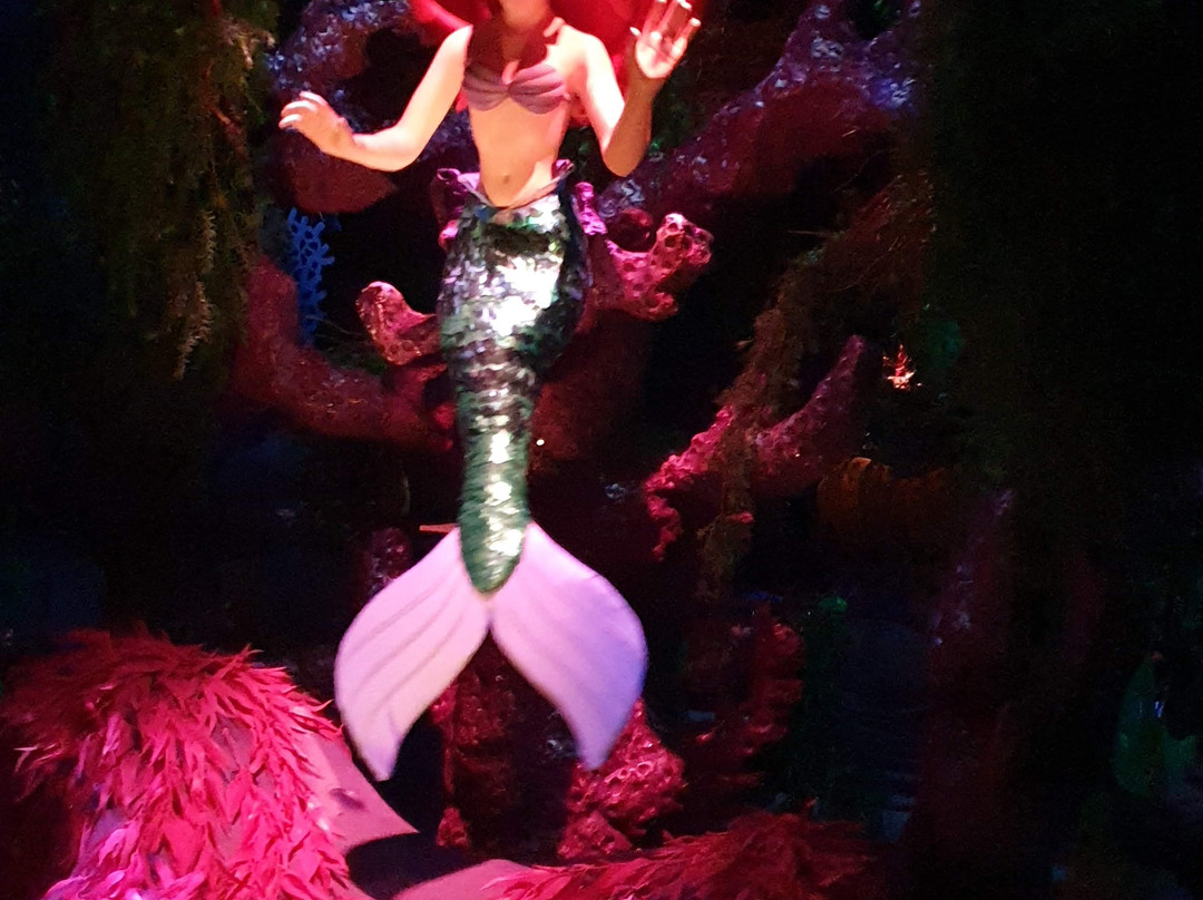 The Little Mermaid - Ariel's Undersea Adventure景点图片