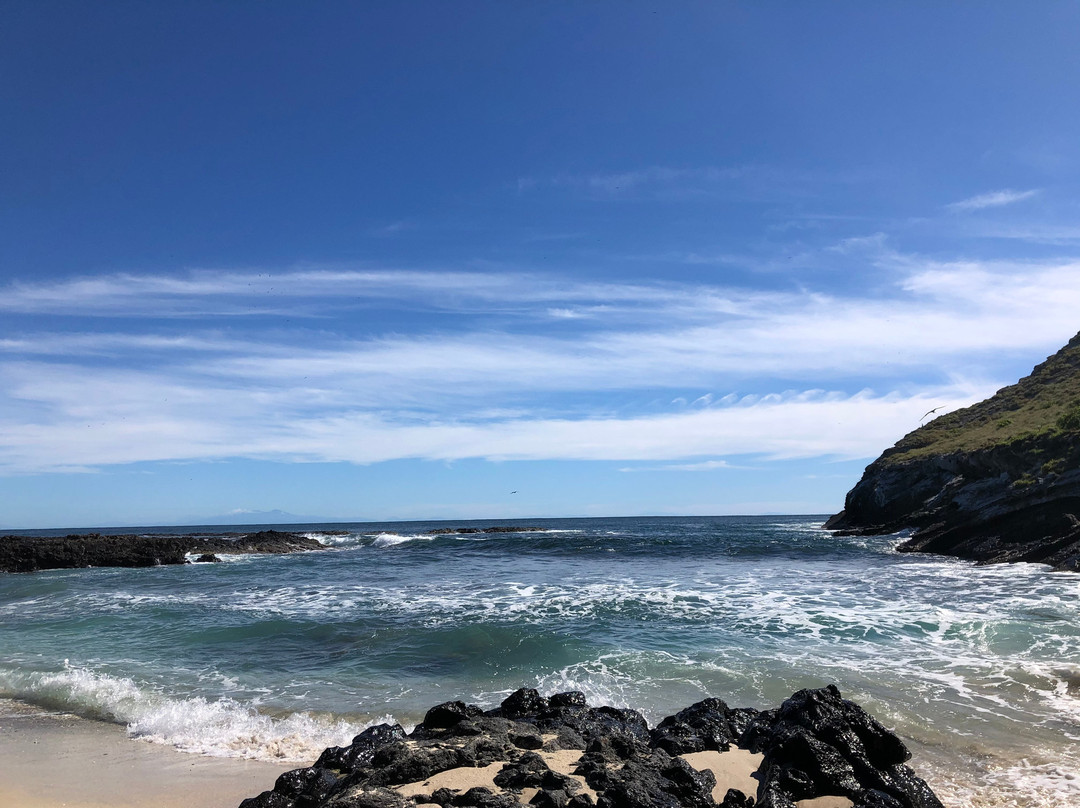 Isla Isabel-San Blas必去景点