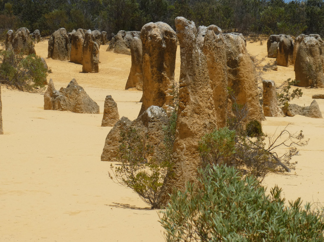 Nambung National Park景点图片