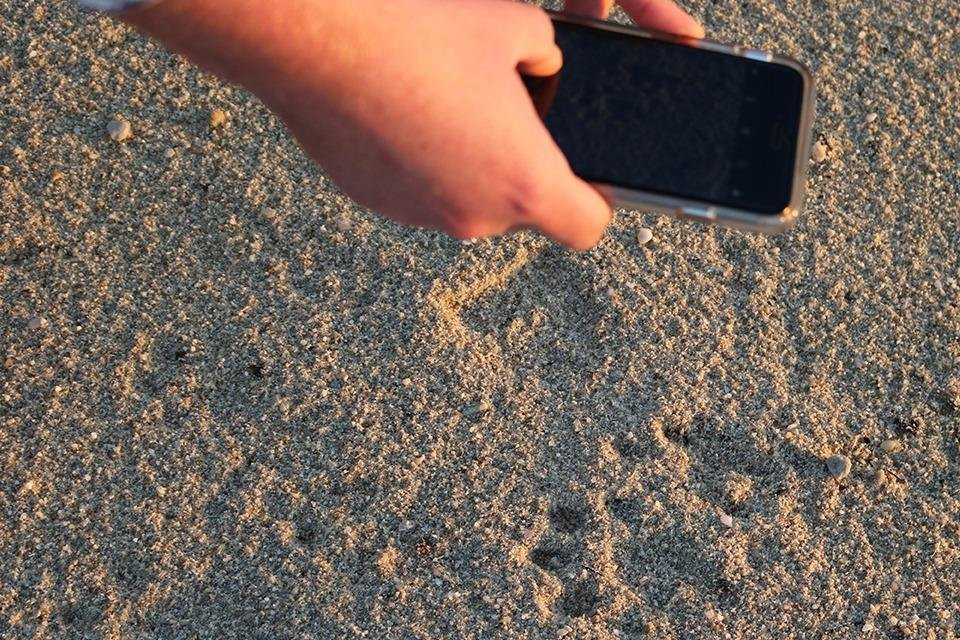 Nuwejaars Wetlands Guided Tours-Bredasdorp必去景点