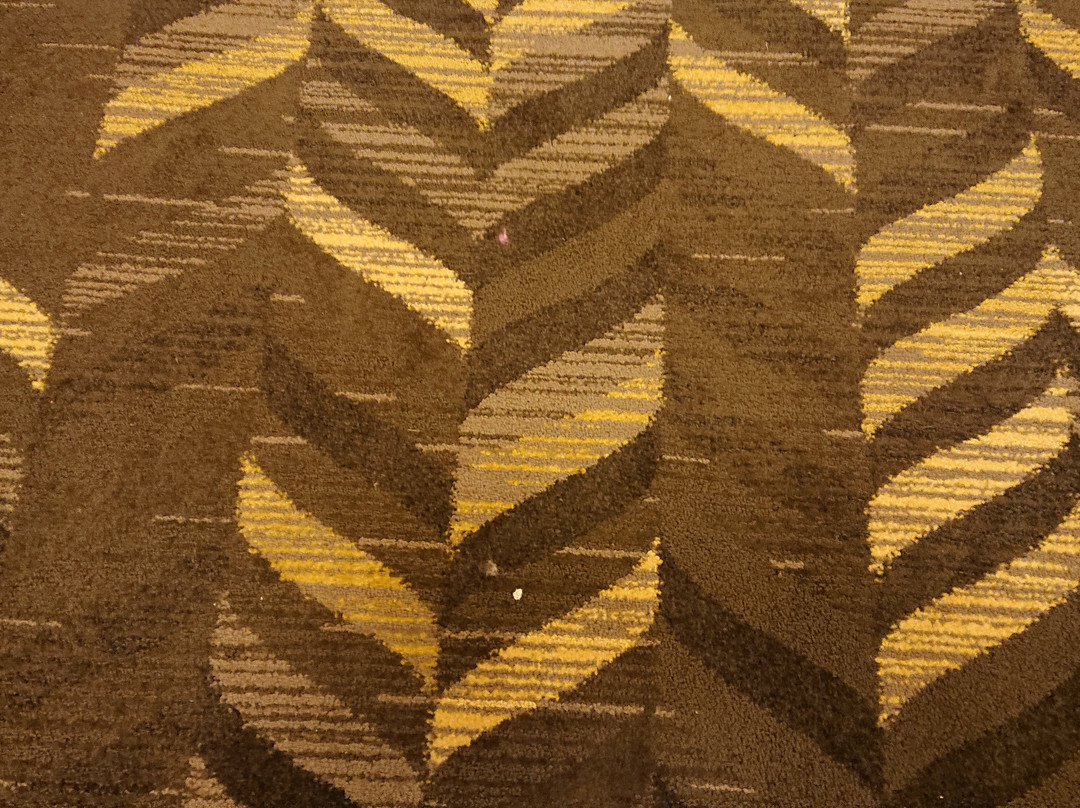 Residence Inn by Marriott Houston Katy Mills主图