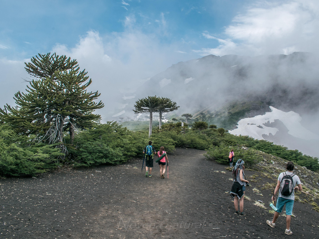 liquen expeditions-普孔必去景点