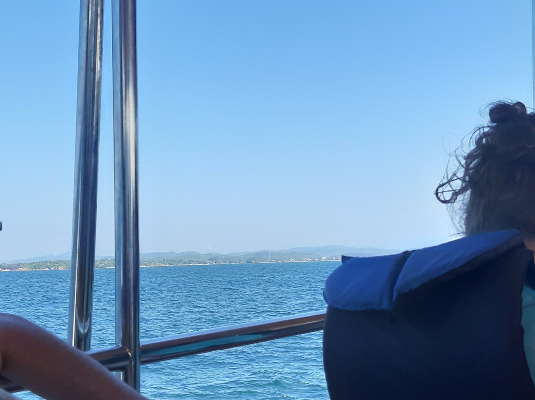 Eagle Eye Whale Watching-美蕊沙必去景点