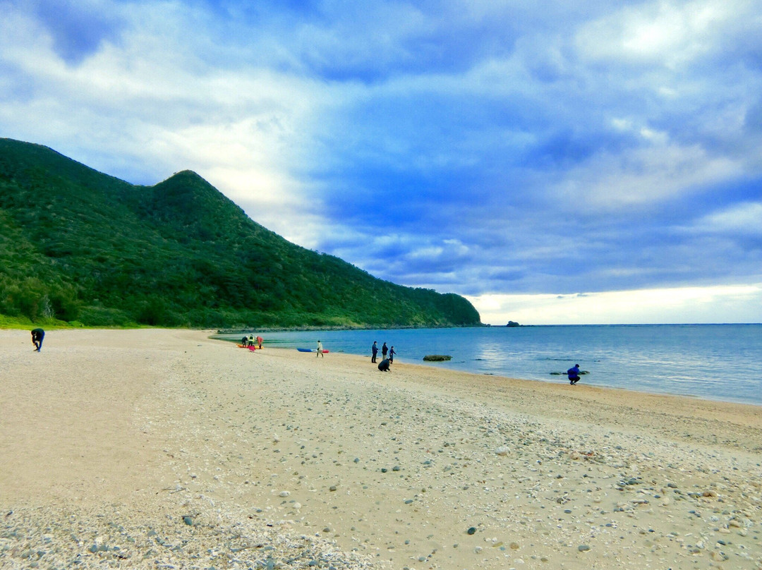 Ala Beach景点图片
