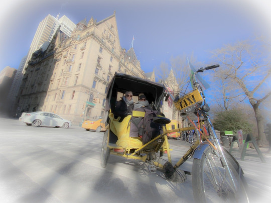 Central Park Joy ™-纽约市必去景点