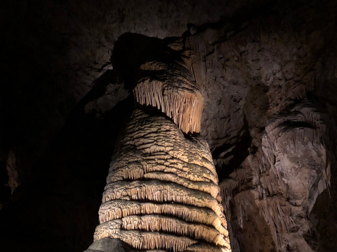 Giant Dome-卡尔斯巴德洞穴国家公园必去景点