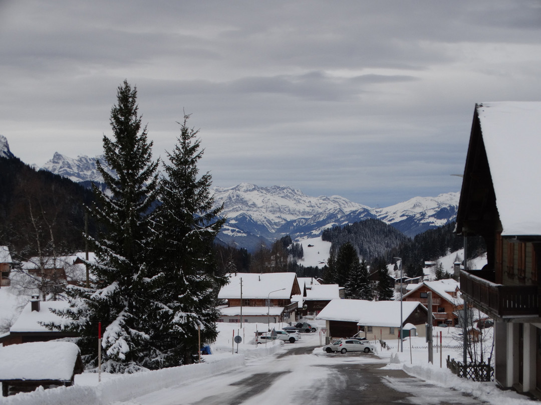 Hotel Le Relais Alpin主图