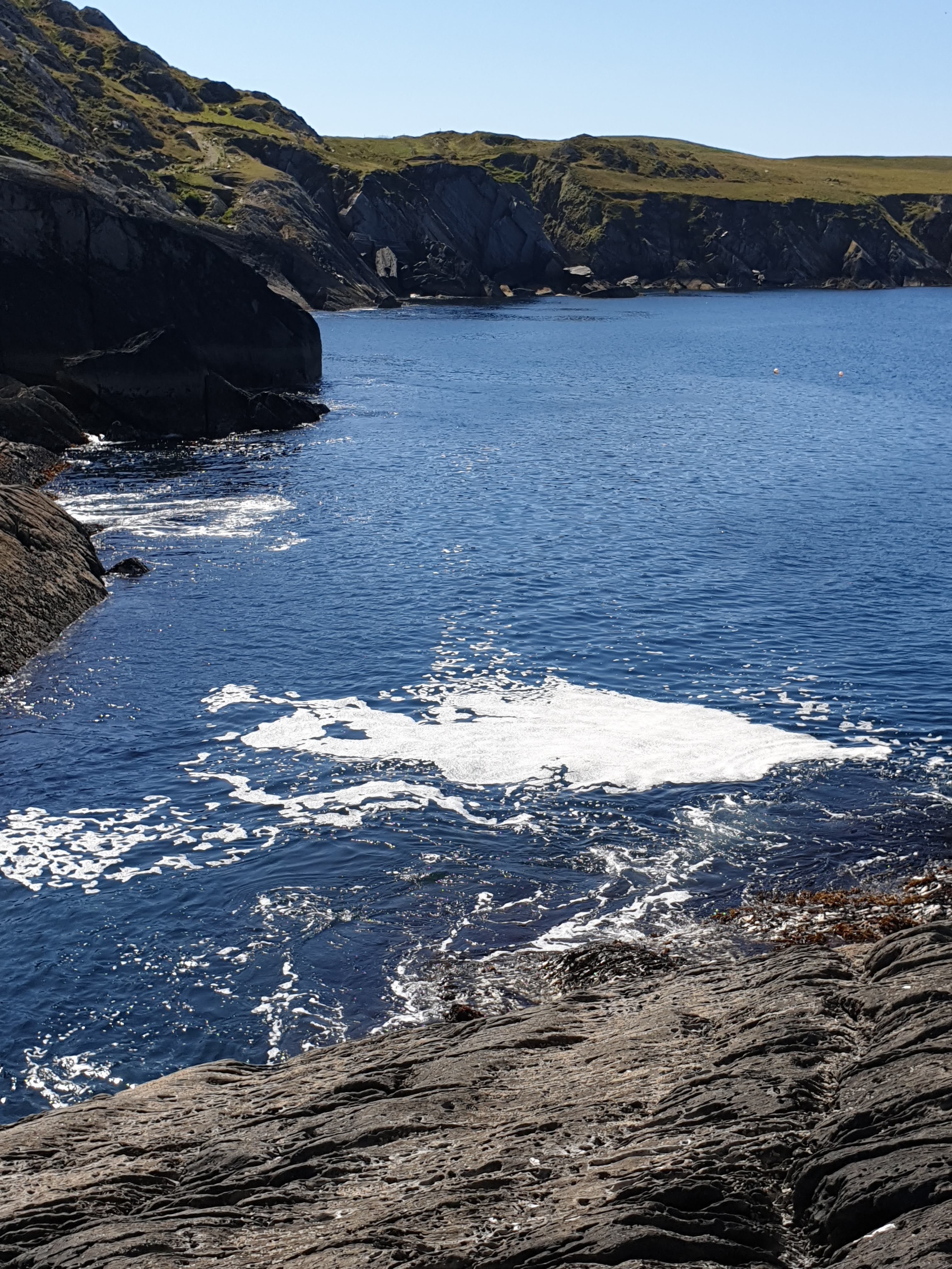 Dromagowlane House-官方