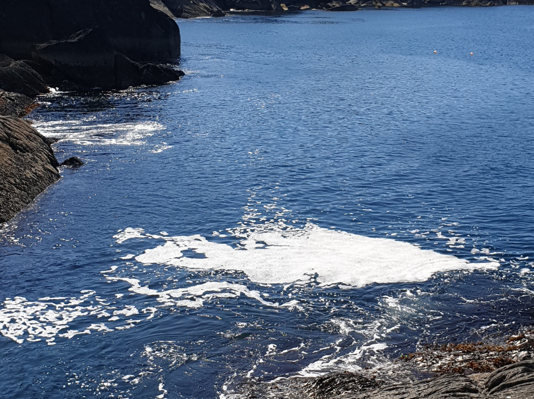 Dromagowlane House主图