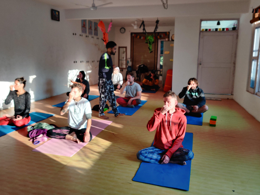 Nirvana Yoga And Meditation Retreat景点图片