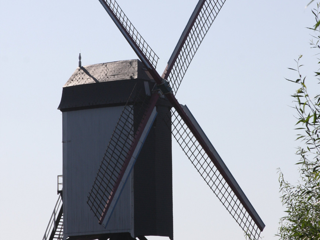 Windmills of Bruges景点图片