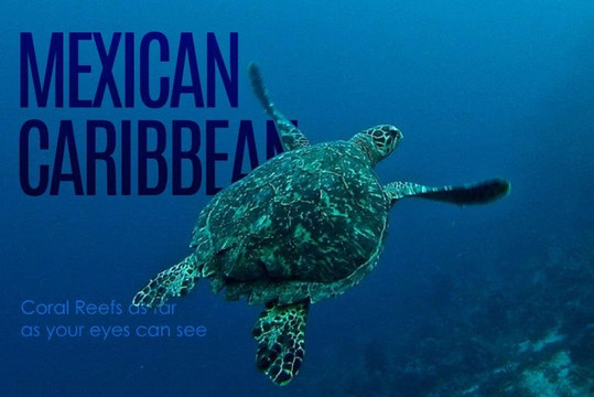 Cantamar Liveaboards-Isla Socorro必去景点