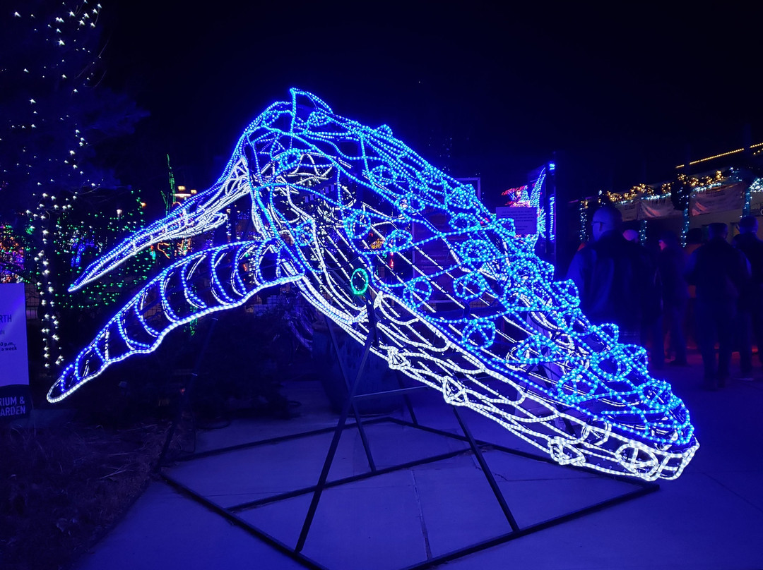 Albuquerque Biological Park-阿尔伯克基必去景点