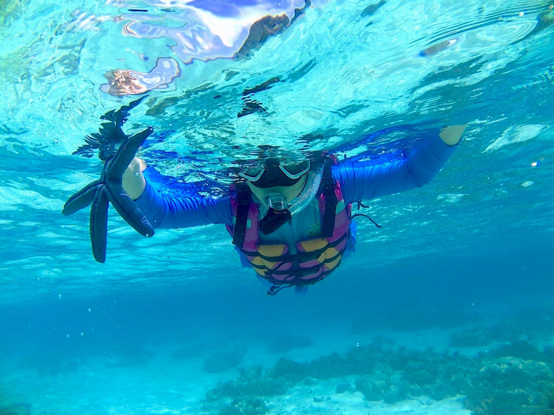 Snorkeling Menjangan Island景点图片