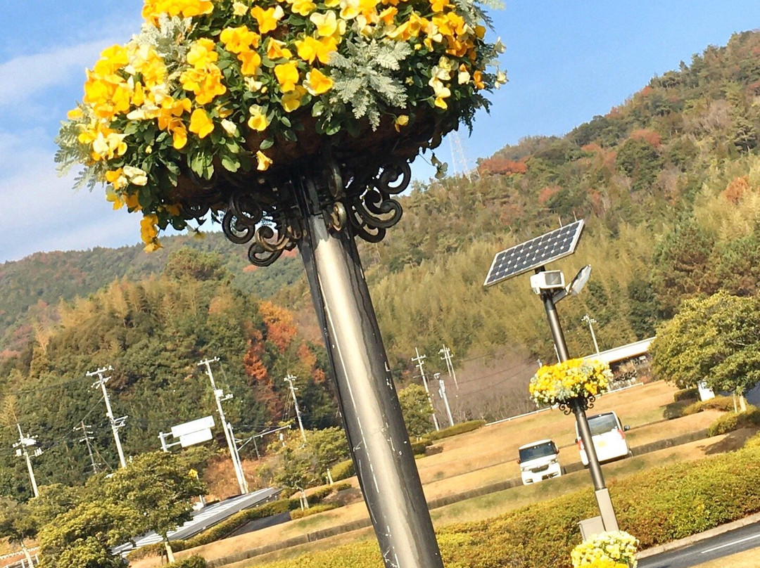 Yamaguchi Flower Land-柳井市必去景点