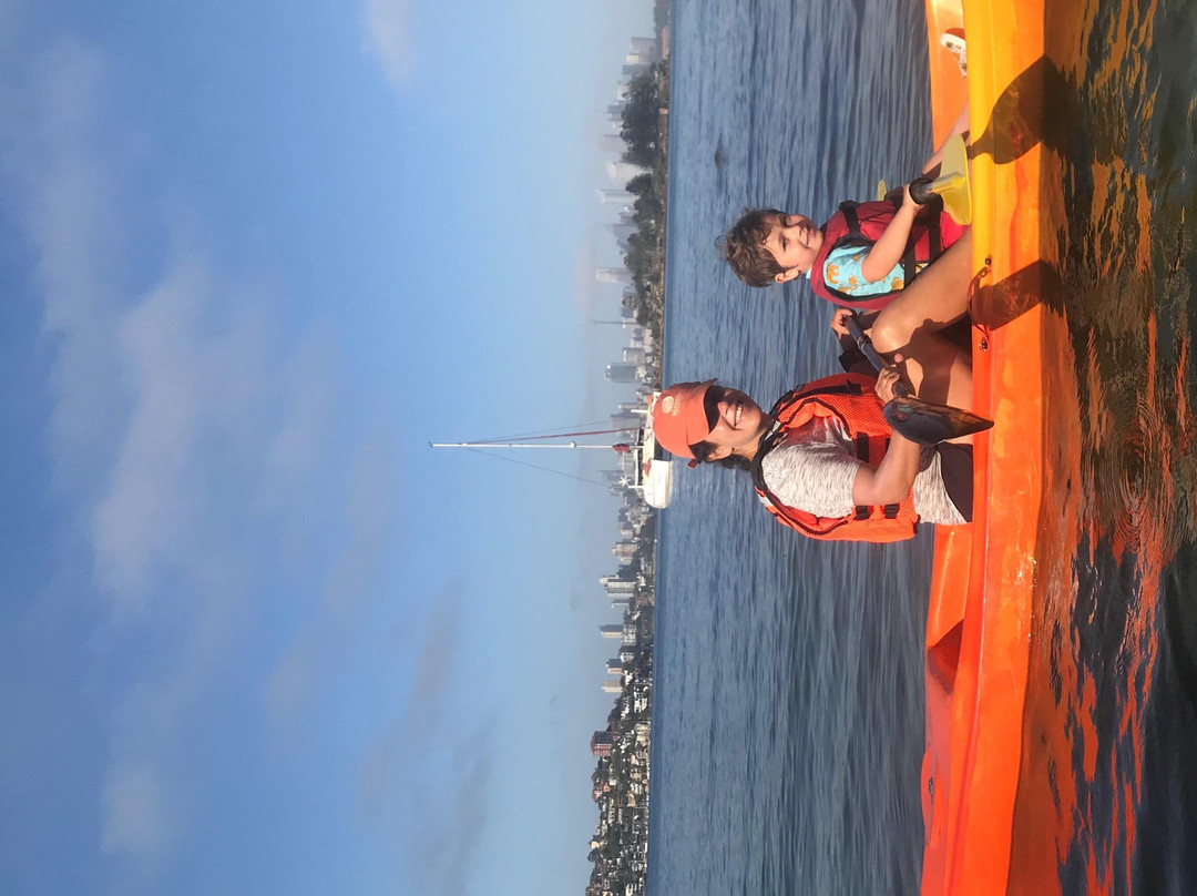 Rose Bay Aquatic Hire-Rose Bay必去景点