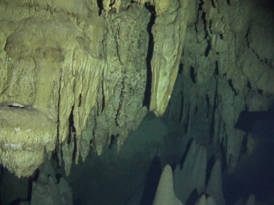 Planet Scuba Mexico-阿范特拉斯港必去景点