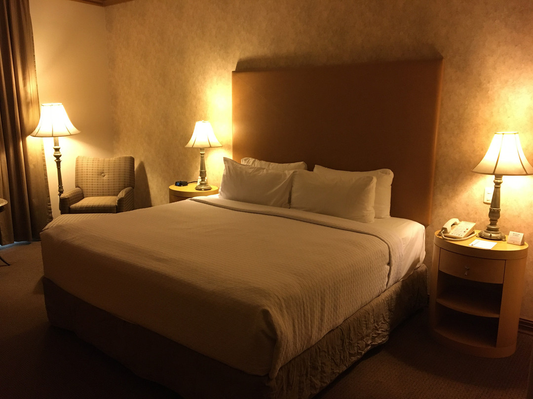 Crowne Plaza Torreon by IHG主图