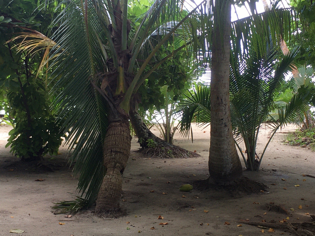 弗里德胡拉佩尔拉旅馆主图