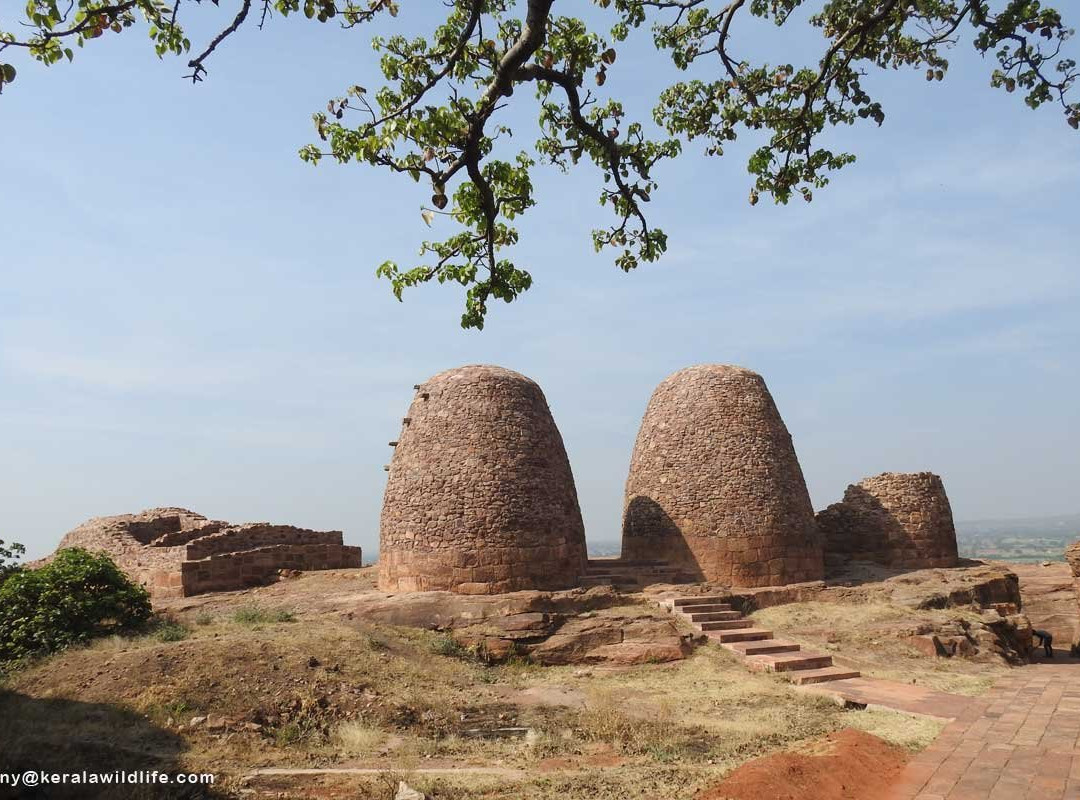 Badami Fort景点图片