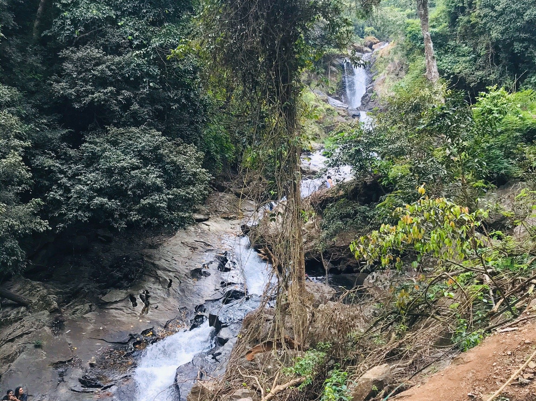 Iruppu Falls景点图片