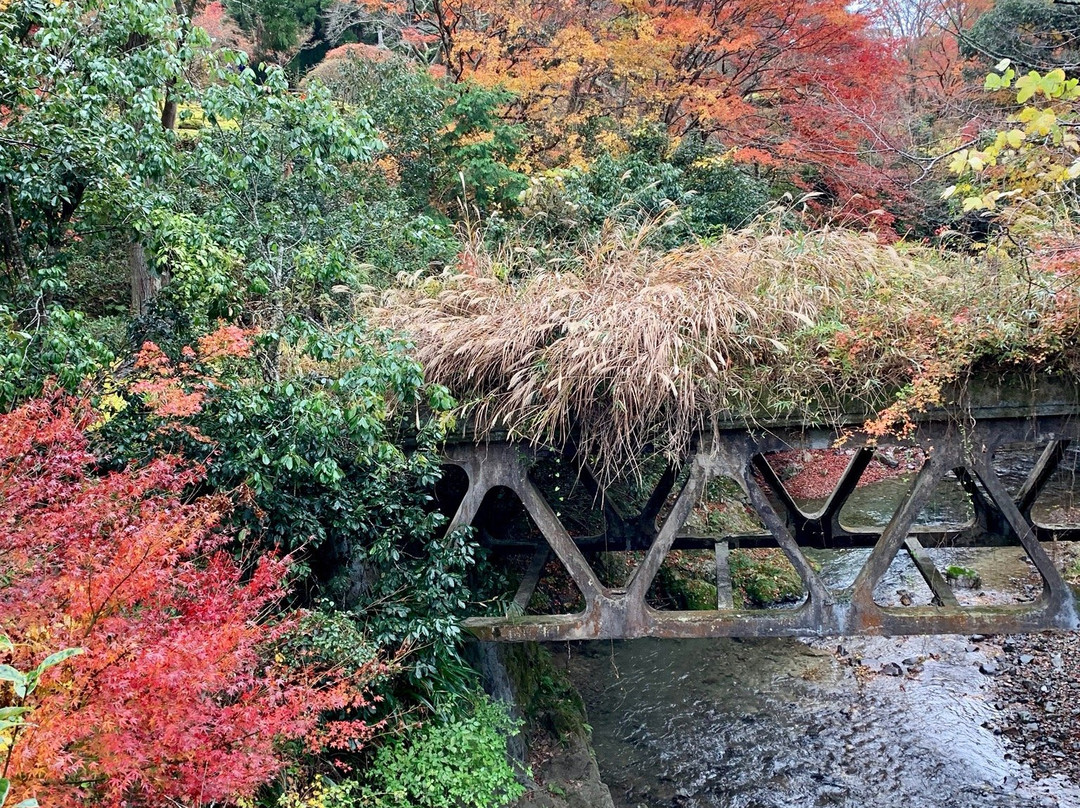 Kyoto Adventures-京都市必去景点
