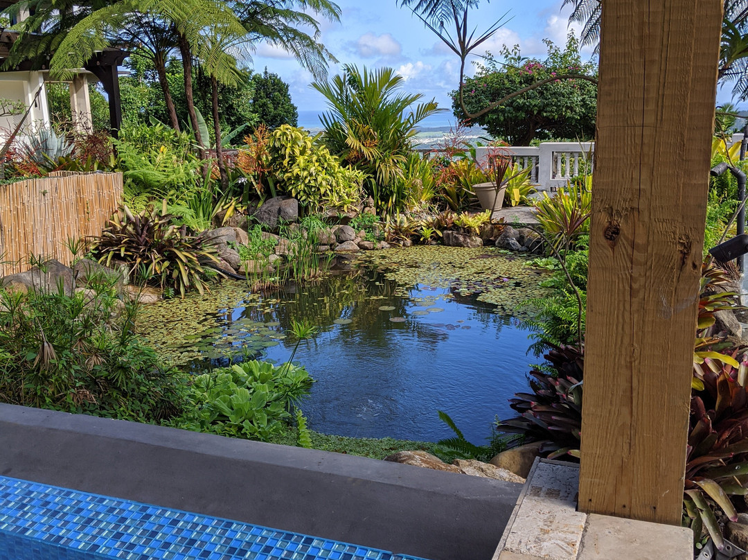 EL Yunque Rainforest Inn主图