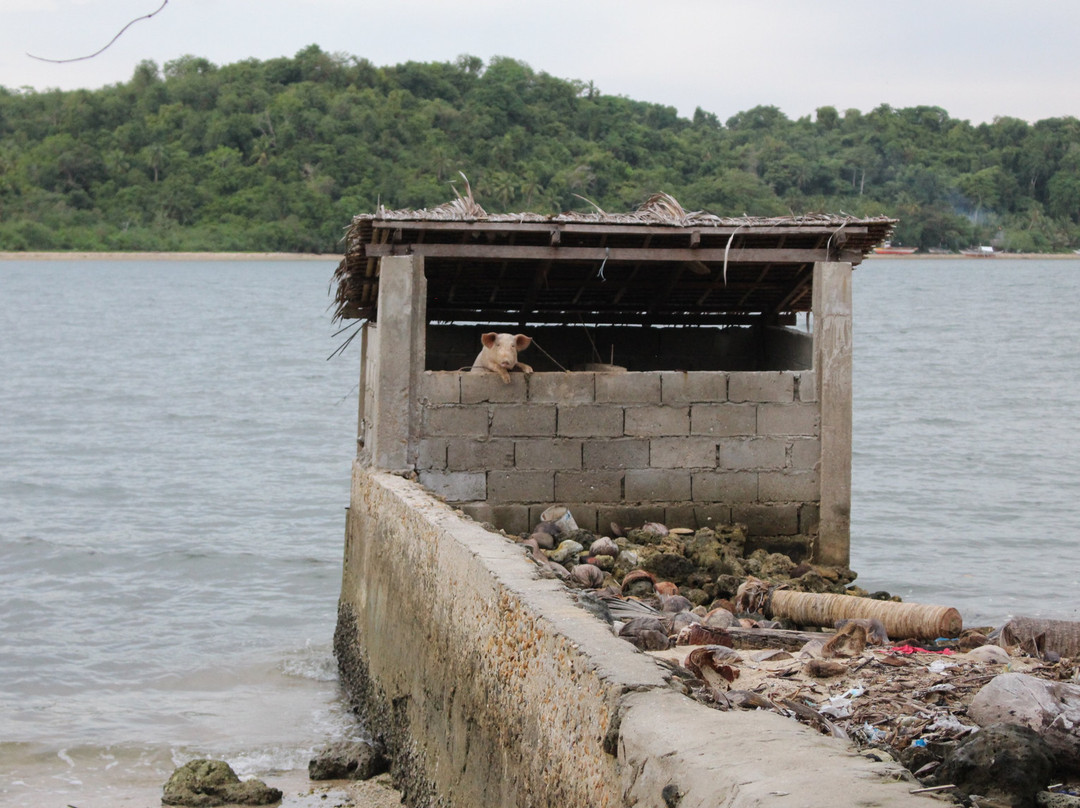迪高岛度假村主图