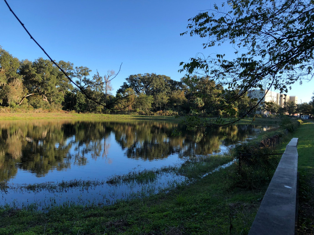 Residence Inn by Marriott Amelia Island主图