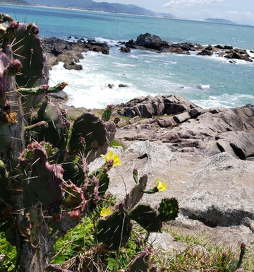 Pousada Bizkaia主图