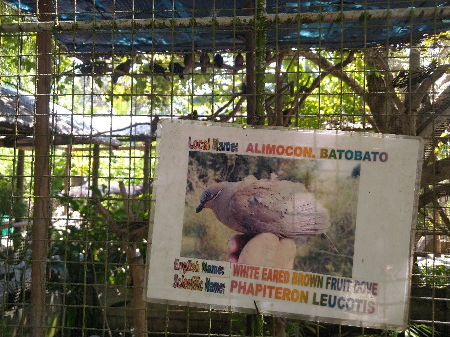 Bohol Python and Wildlife Park景点图片