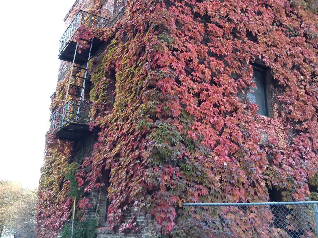 希斯托里克卡里豪斯酒店主图