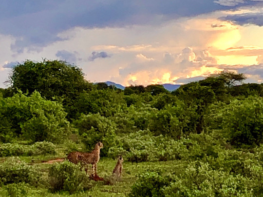 Paul Safaris-蒙巴萨必去景点