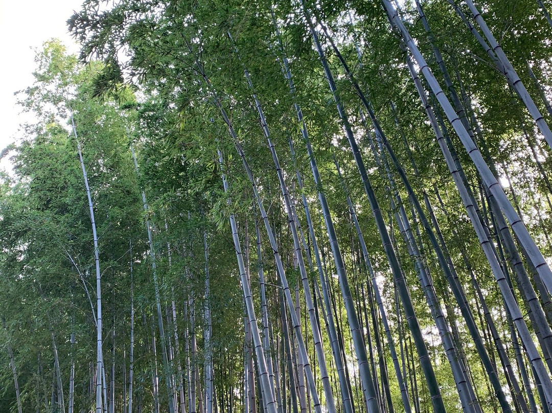 Takenomichi-向日市必去景点