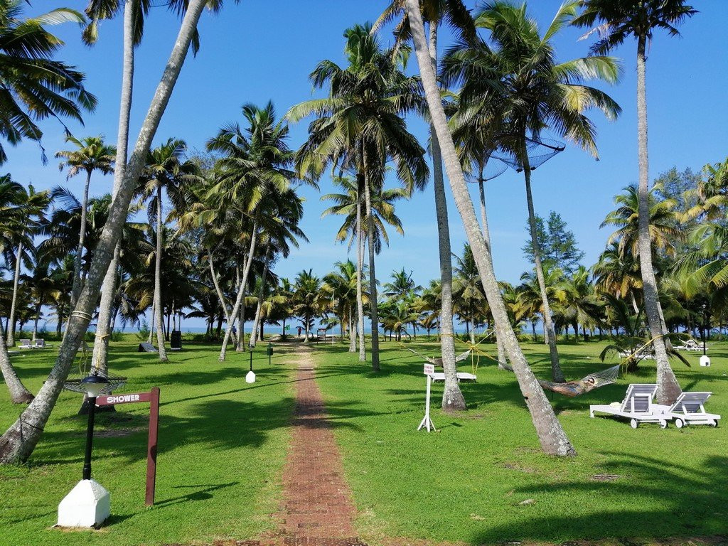 Marari Beach - CGH Earth主图