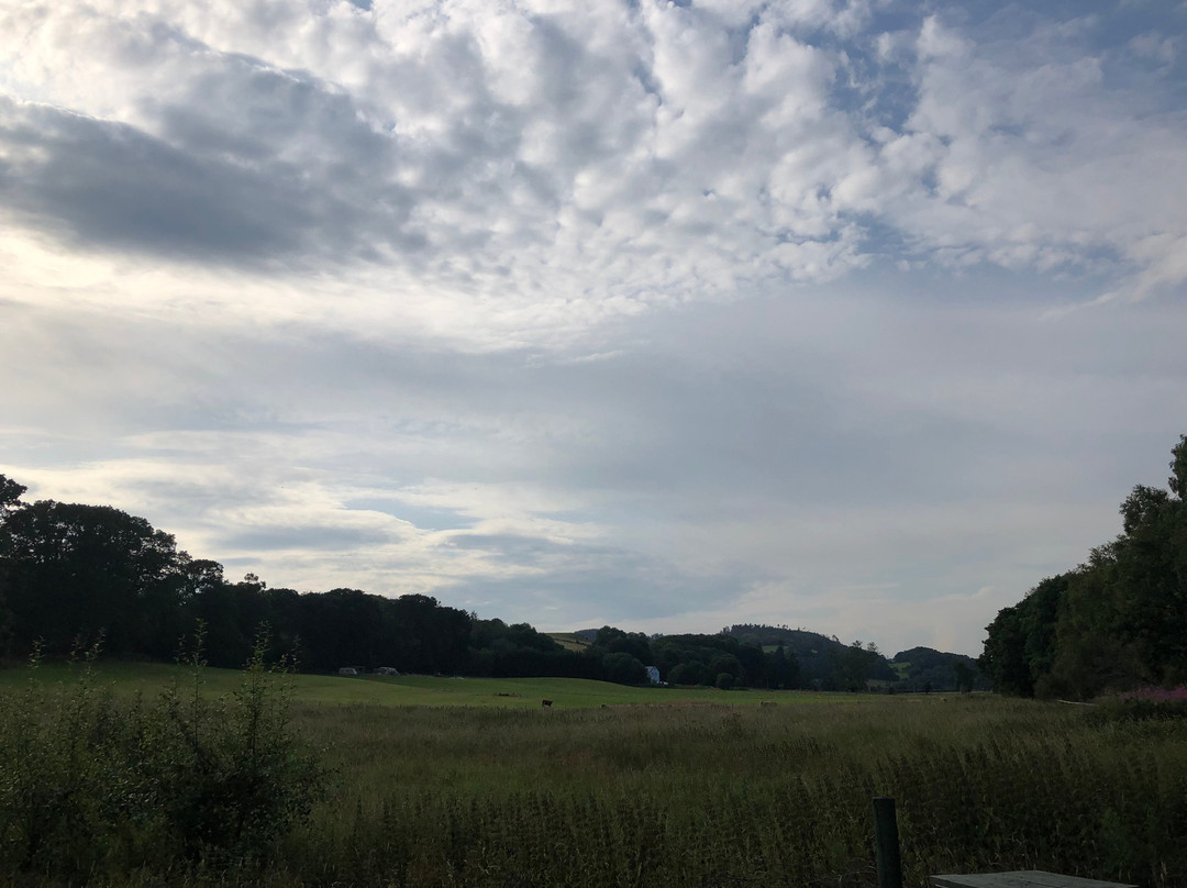 Kirkconnell Flow Nature Reserve-邓弗里斯-加洛韦必去景点