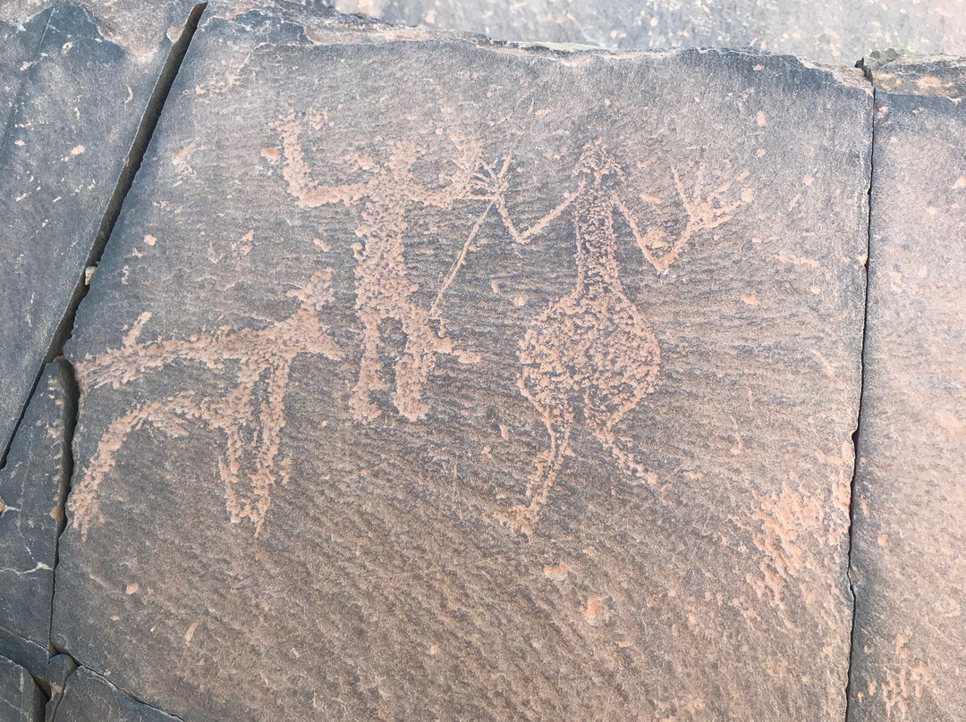 Oasis Dar Ouanou主图