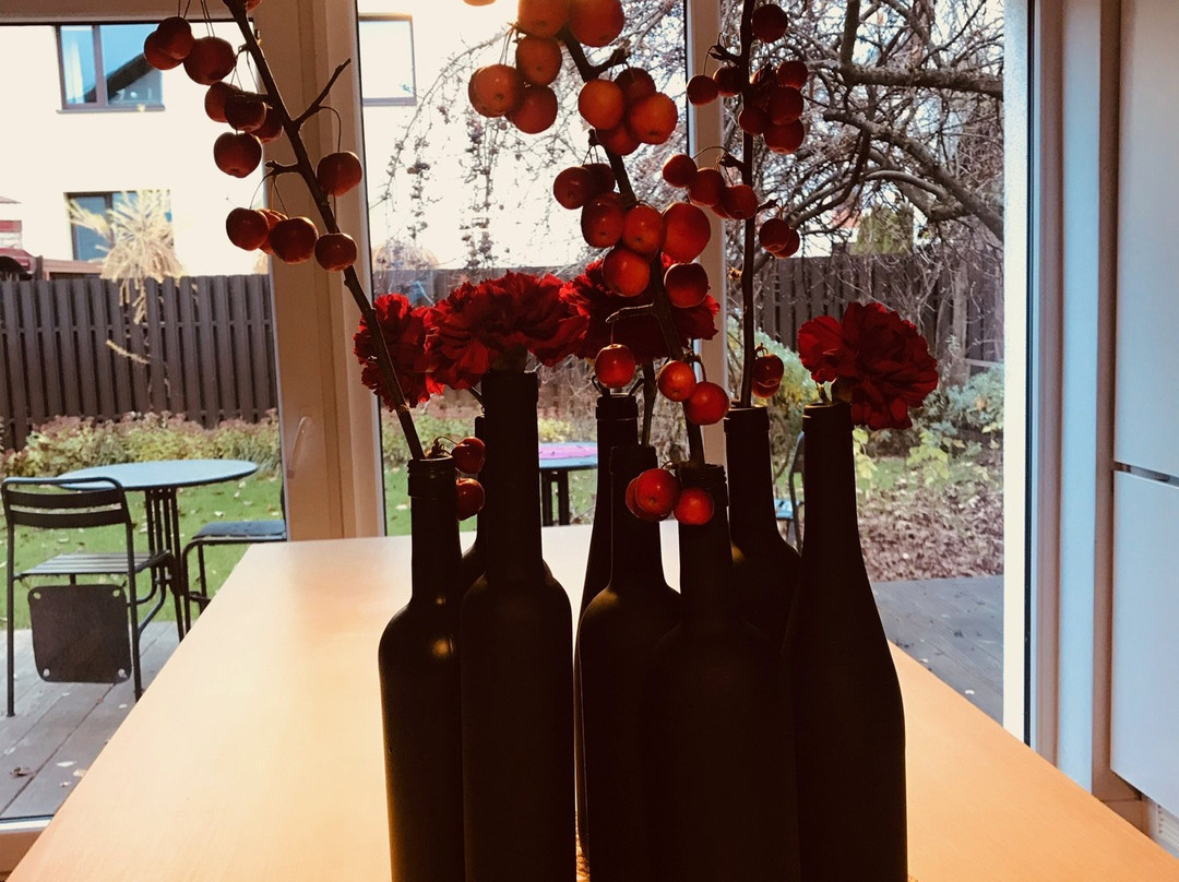 SAKA Vacation house主图