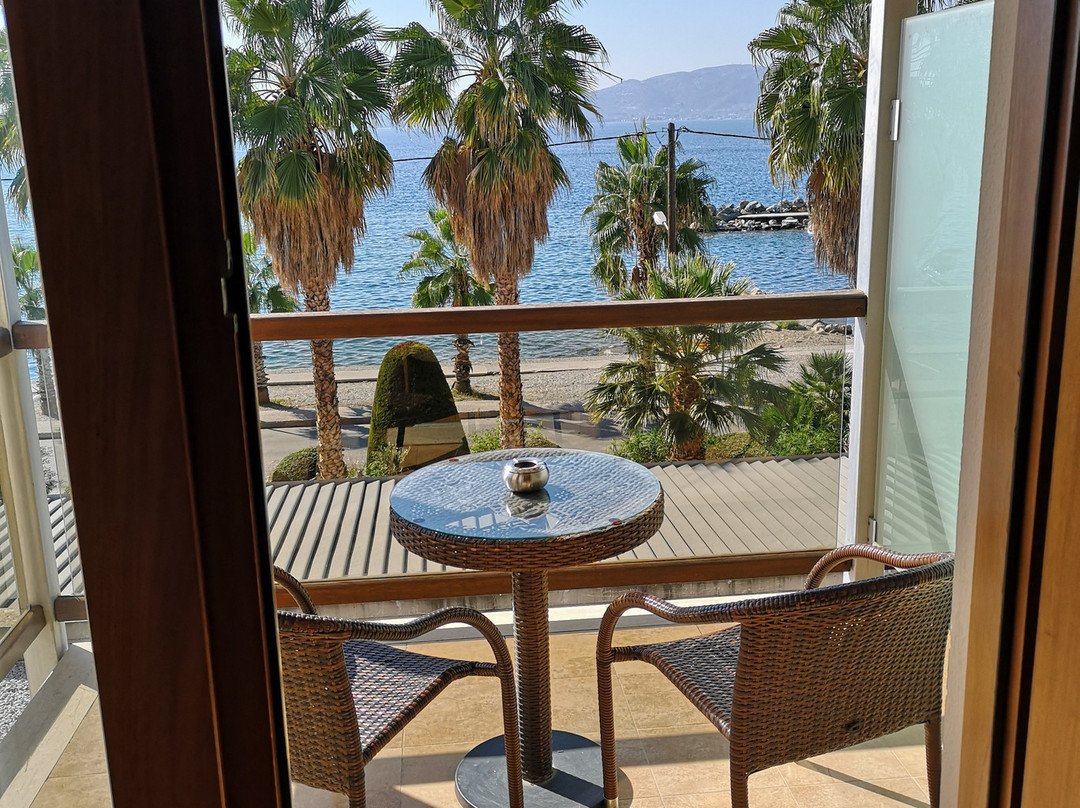 Valis Resort and Spa主图