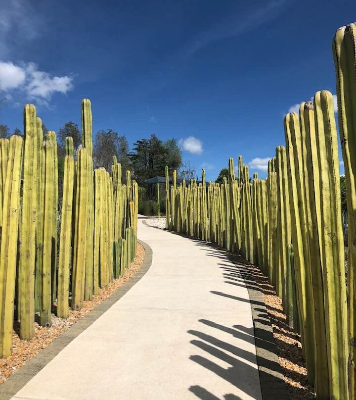 Jardines de México景点图片