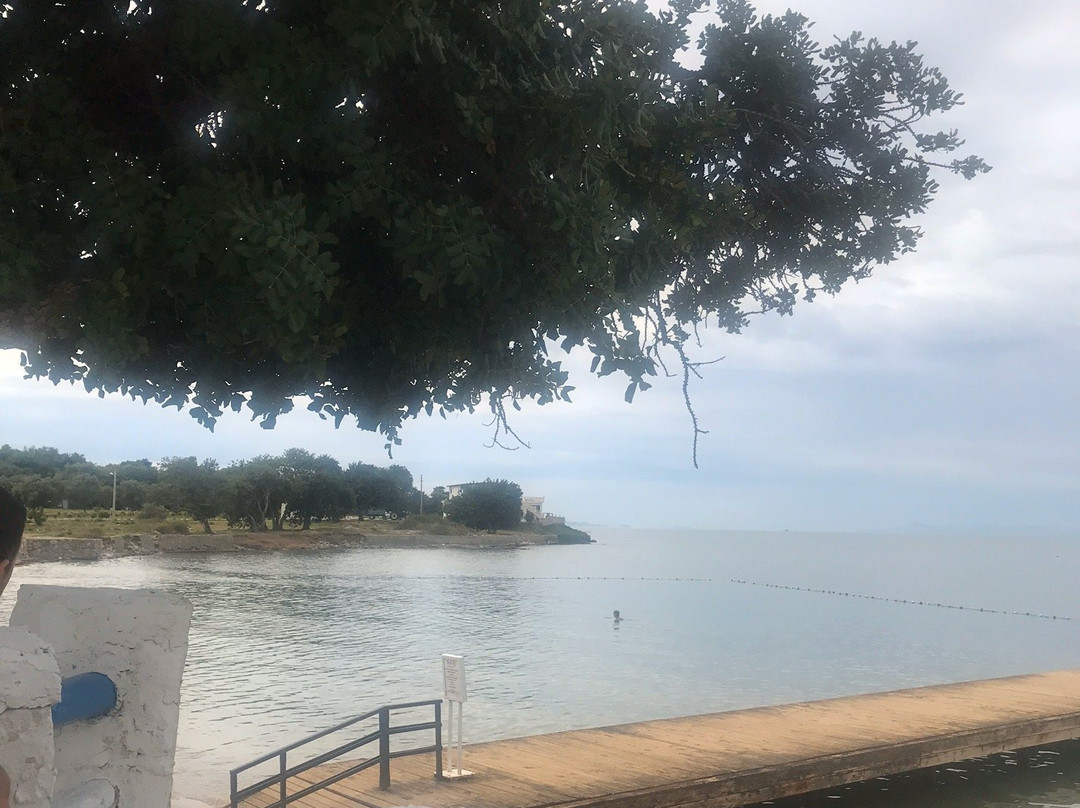 Apollonium Spa & Beach Resort景点图片