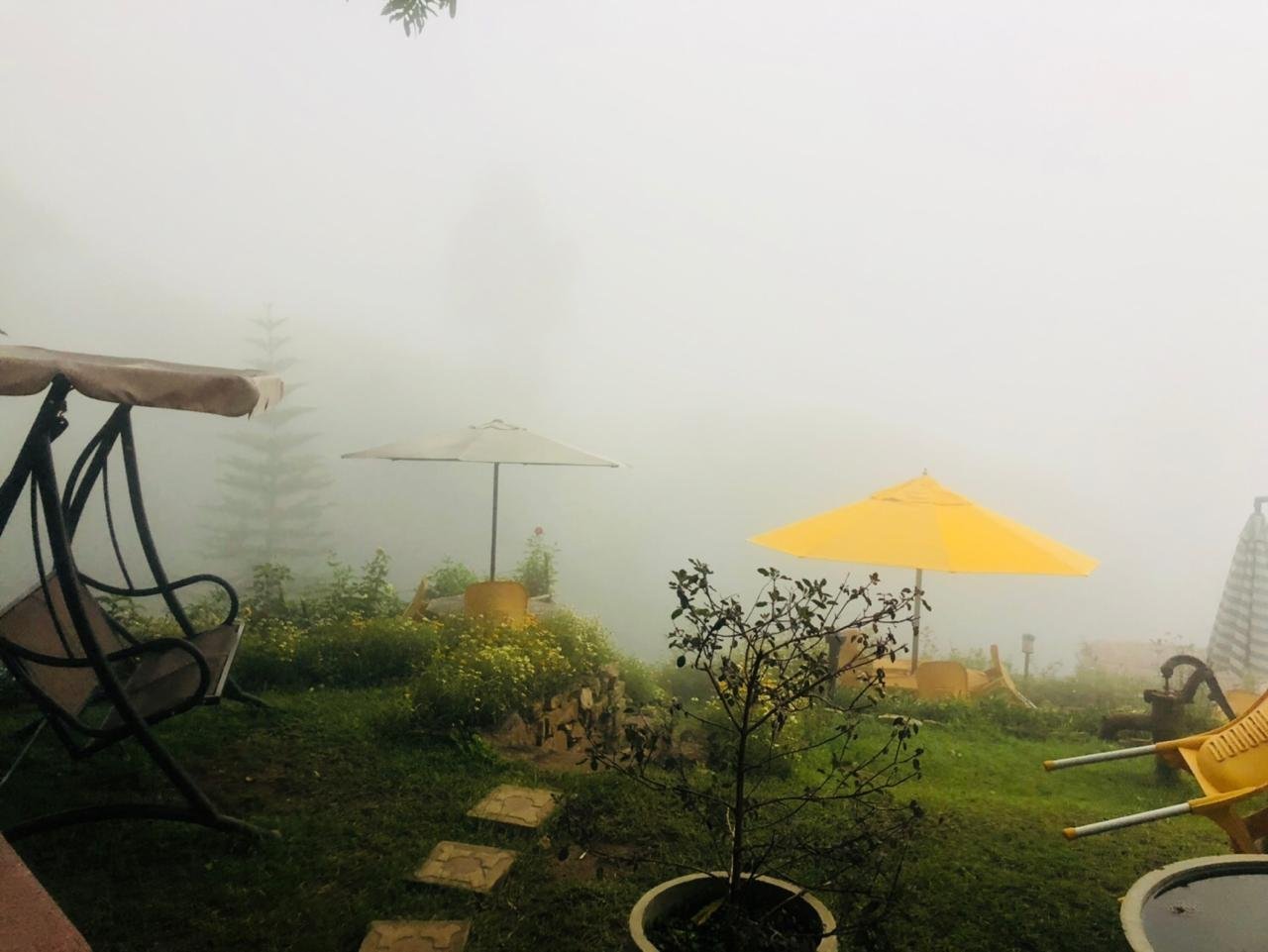 Morning Mist Guesthouse-官方